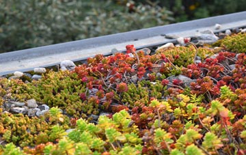 the cost of Horningsea green roof installation