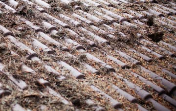 Horningsea roof cleaning companies