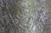 Horningsea fibreglass roof work